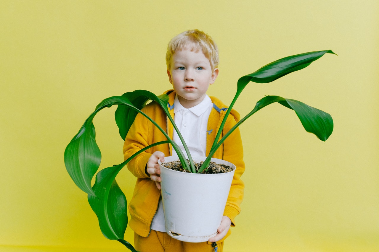 Adivinanzas para niños de Preescolar