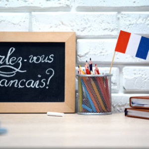 Aprende vocabulario y frases sencillas en francés