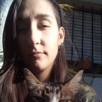 Temis D.