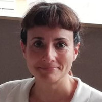 Profesor - Sylvie Requena López