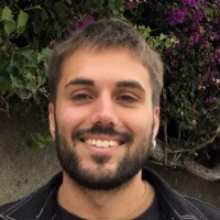 Profesor - Fabio Fiore