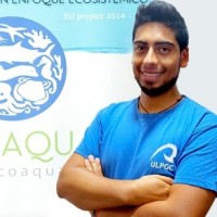Profesor - Giovanny Alejandro Cuervo Londoño