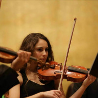 Profesor - Marina Sanchis Romero