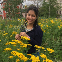 Profesor Yannorys Villalba - BuscaTuProfesor