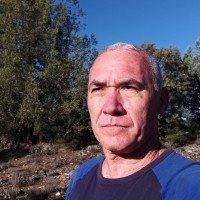 Profesor Yane Bonin - BuscaTuProfesor