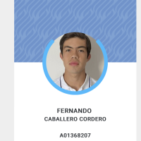Profesor - Fernando Caballero Cordero