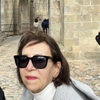 Profesor - Sandra Cibello