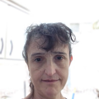 Profesor - Pilar Calvo
