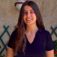 Profesor - Teresa Lorenzo Veciana