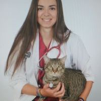 Profesor - Sandra Garrido Moro