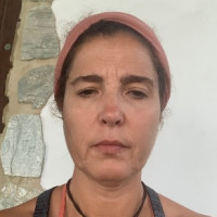 Profesor - Carolina Varas Morales