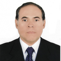 Profesor Carlos Ernesto Flores Albino - BuscaTuProfesor