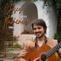 Profesor - Felipe Fernandez
