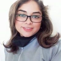 Profesor - Sandra Milena Navarro Benavides