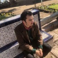 Profesor - Francesco Motta
