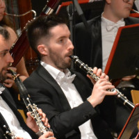 Profesor - Daniel Tena