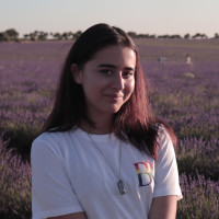 Profesor - Sofia Vidal Escobar
